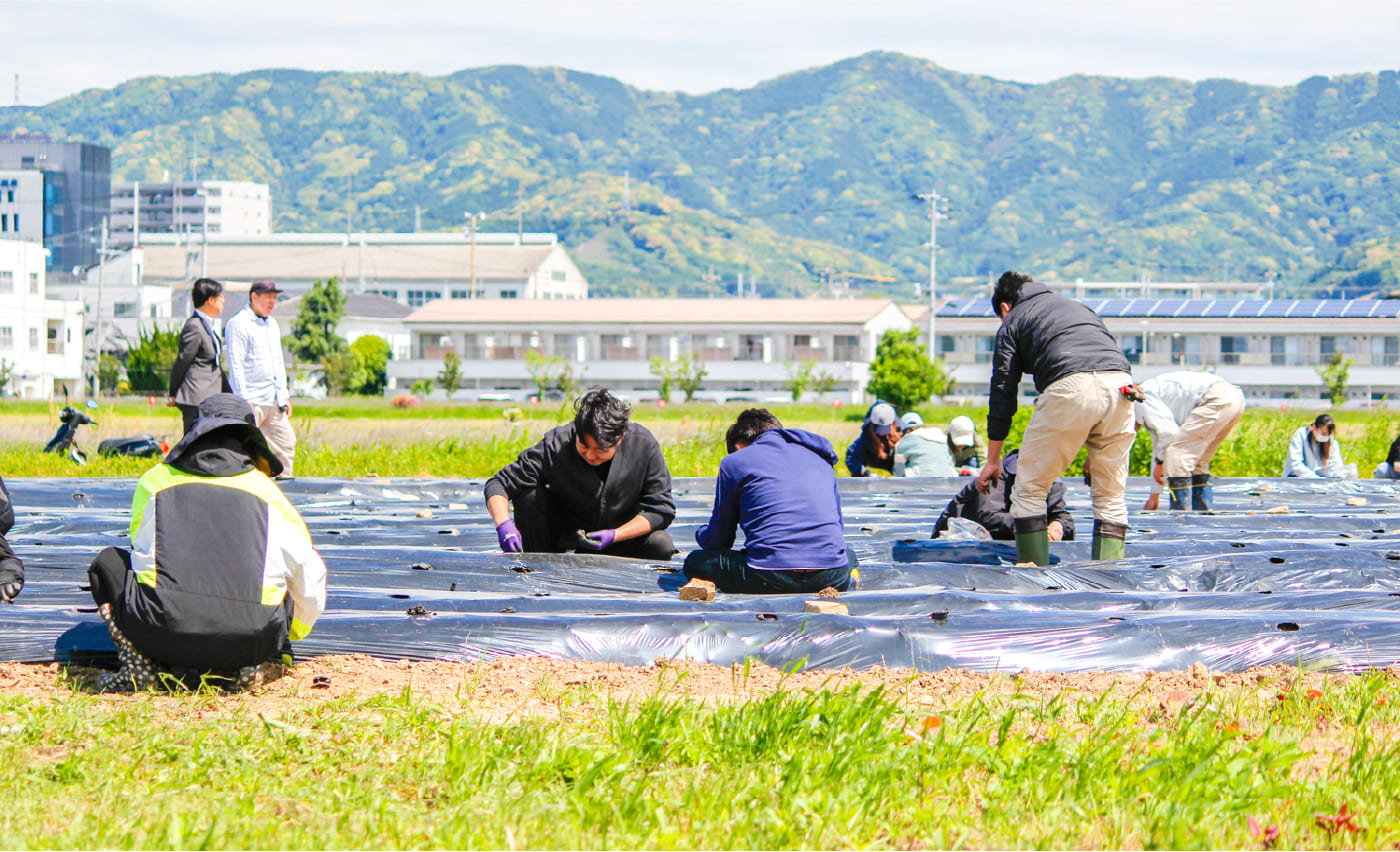 コットンプロジェクト