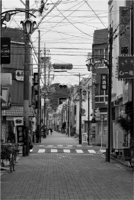 はぐまむの歴史